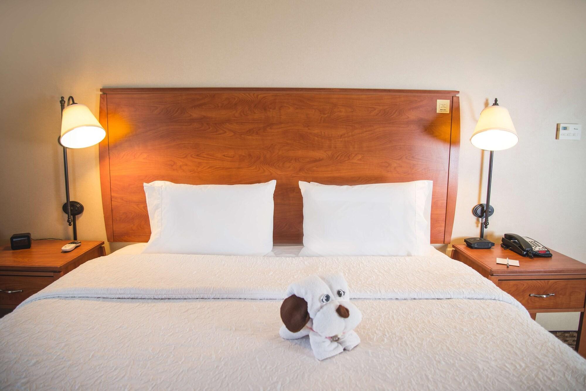 Hampton Inn & Suites Greeley Ngoại thất bức ảnh